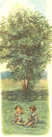 Березка - _9.jpg