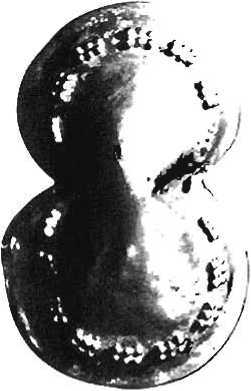 Войны античности от Греко-персидских войн до падения Рима - _26.jpg