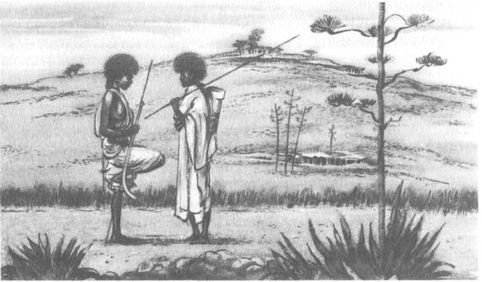 Африка грёз и действительности (Том 1) - i_046.jpg