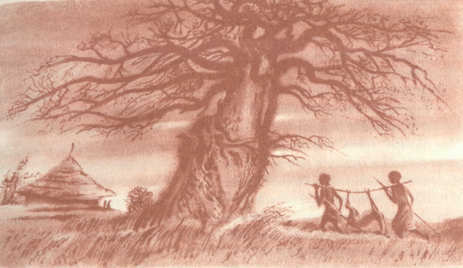 Африка грёз и действительности (Том 3) - i_004.jpg