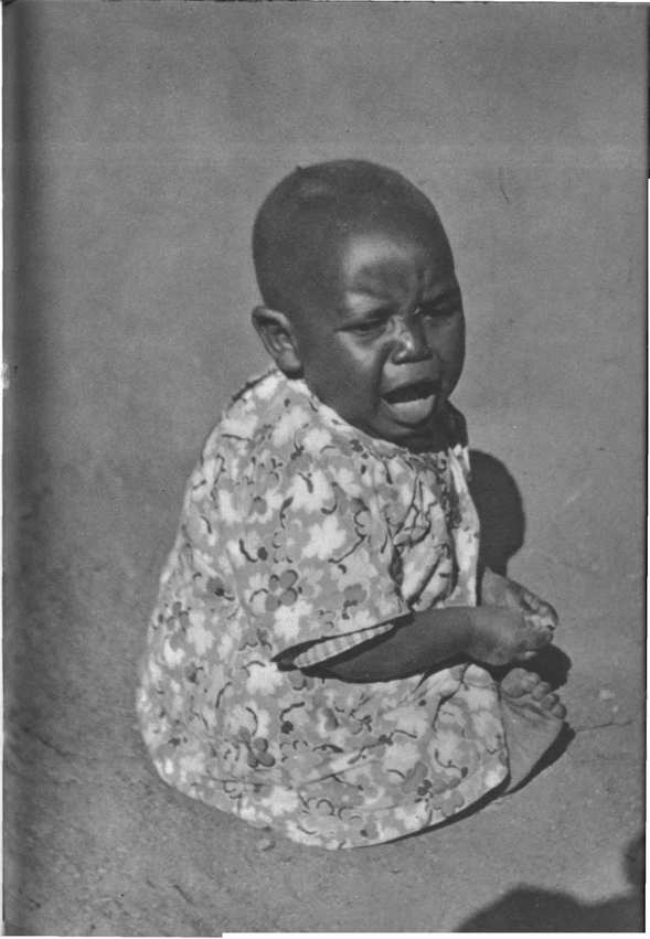 Африка грёз и действительности (Том 3) - i_015.jpg