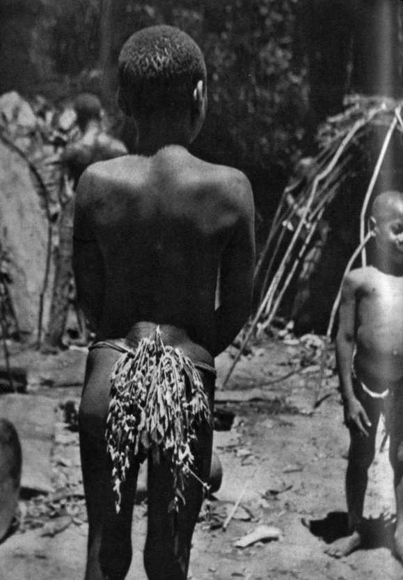 Африка грёз и действительности (Том 3) - i_037.jpg