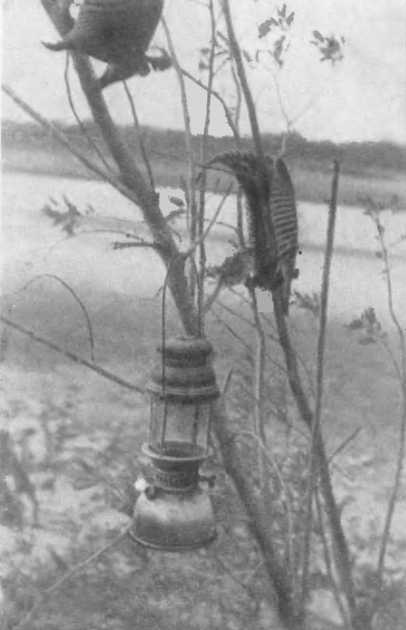 Там, за рекою, — Аргентина - i_023.jpg