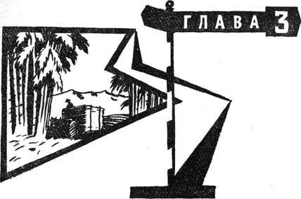 Через Кордильеры - i_003.jpg