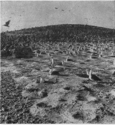 Через Кордильеры - i_122.jpg