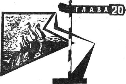 Через Кордильеры - i_124.jpg