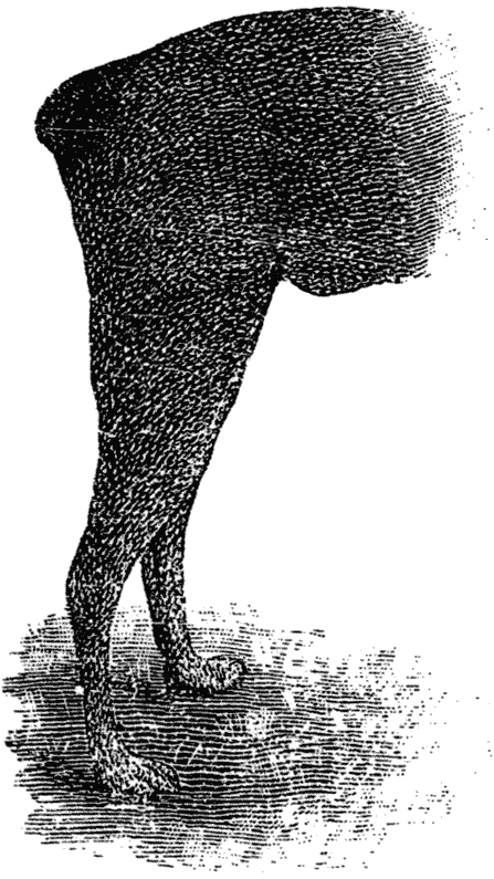 Дрессировка полицейских собак - i_006.png