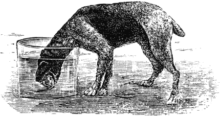 Дрессировка полицейских собак - i_010.png