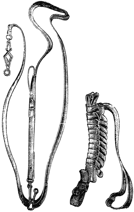 Дрессировка полицейских собак - i_016.png