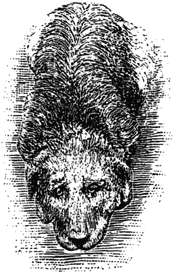 Дрессировка полицейских собак - i_018.png