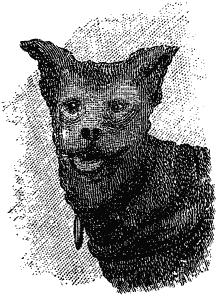 Дрессировка полицейских собак - i_052.png