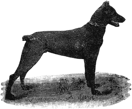 Дрессировка полицейских собак - i_055.png