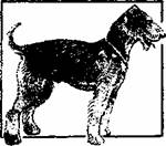 Любящие нас больше, чем себя - pic_2.jpg