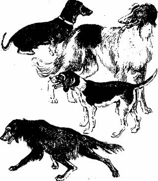 Любящие нас больше, чем себя - pic_5.jpg