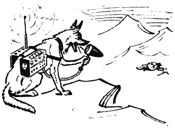 Твой друг (Сборник по собаководству, 1973 г.) - i_024.png