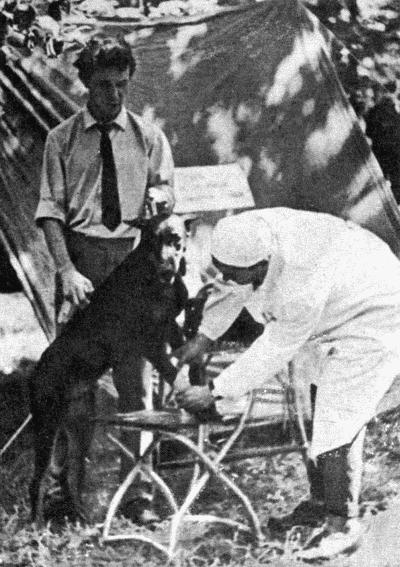 Твой друг (Сборник по собаководству, 1973 г.) - i_053.jpg