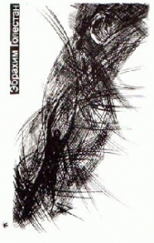 Любовь юных лет - автор Голестан Эбрахим 