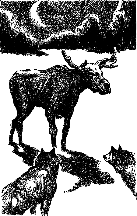 Бронзовый топор - i_039.png