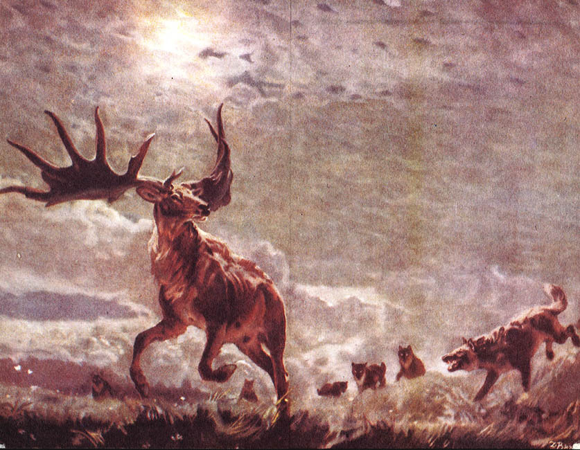 Бронзовый топор - i_137.jpg