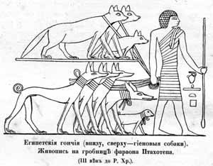 Наши домашнiя животныя. Собаки - i_006.jpg