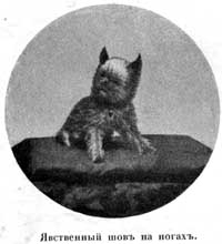 Наши домашнiя животныя. Собаки - i_016.jpg