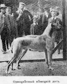 Наши домашнiя животныя. Собаки - i_060.jpg