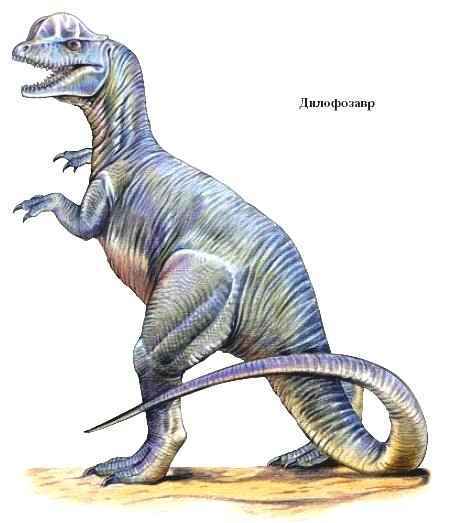 Энциклопедия «Биология» (с иллюстрациями) - d_015.jpg