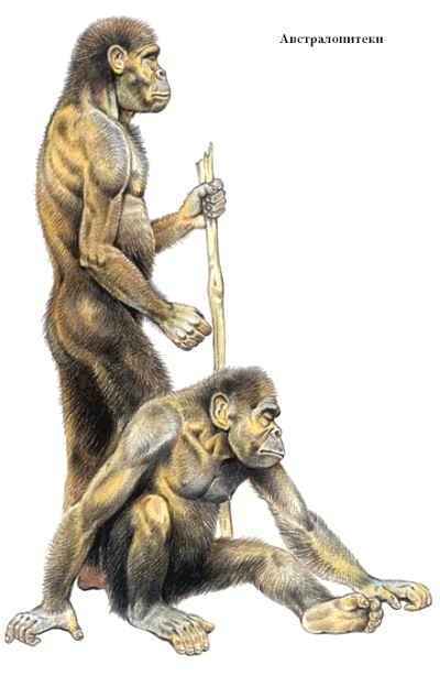 Энциклопедия «Биология». Часть 1. А – Л (с иллюстрациями) - a_003.jpg