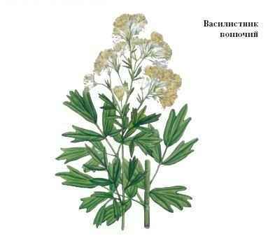 Энциклопедия «Биология». Часть 1. А – Л (с иллюстрациями) - b_006.jpg