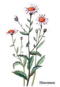 Энциклопедия «Биология». Часть 2. М – Я (с иллюстрациями) - n_018.jpg