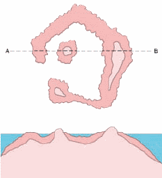 Энциклопедия «География». Часть 2. М – Я (с иллюстрациями) - a048.png