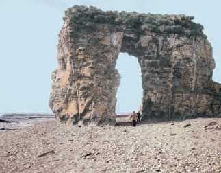 Энциклопедия «География». Часть 2. М – Я (с иллюстрациями) - b028.jpg