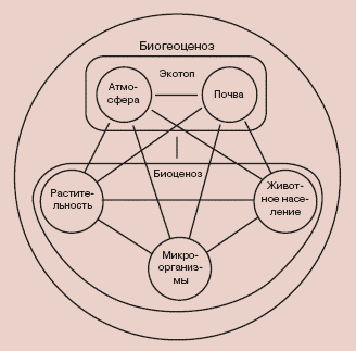 Энциклопедия «География». Часть 2. М – Я (с иллюстрациями) - b031.png