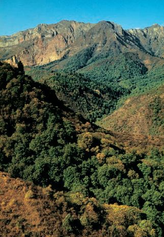 Энциклопедия «География». Часть 2. М – Я (с иллюстрациями) - b032.jpg