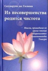  Госвами Сатсварупа Даса - Из несовершенства возникнет чистота