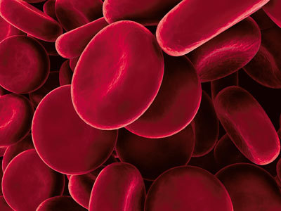 О чем говорят анализы. Секреты медицинских показателей – для пациентов - i_001.jpg