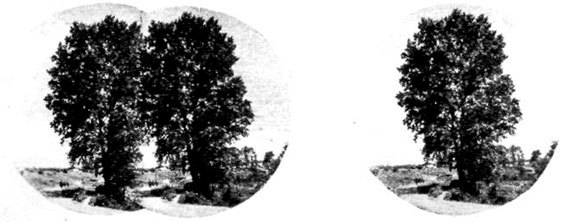 Меткие стрелки - pic_169.jpg