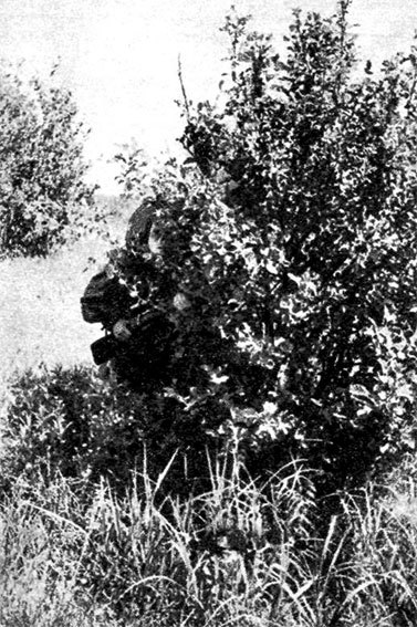 Меткие стрелки - pic_213.jpg