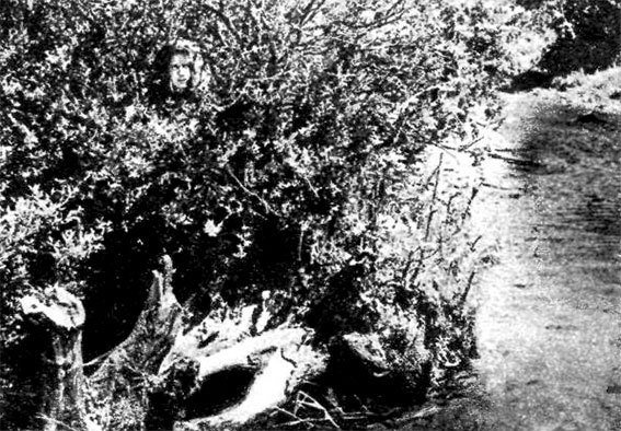 Меткие стрелки - pic_218.jpg