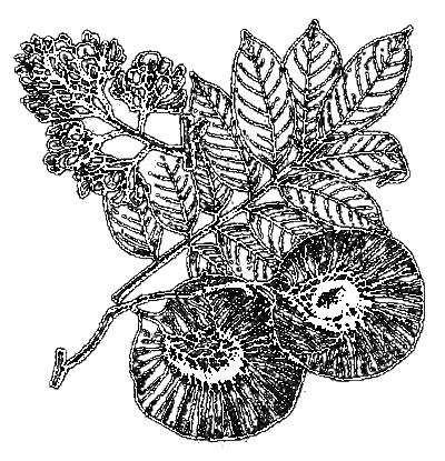 Человек с яйцом. Жизнь и мнения Александра Проханова - i_021.png