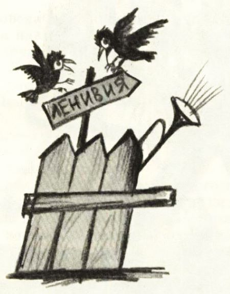 Волшебный мяч - i_059.jpg