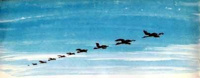 Как Наташа папу искала - i_006.jpg