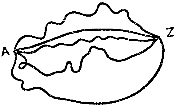 Психология - img_4.png