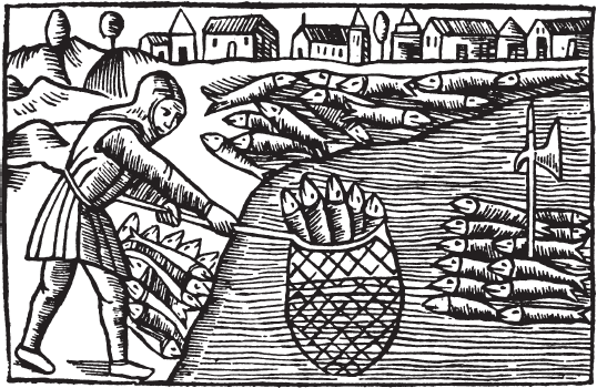 Викинги. Потомки Одина и Тора - i_009.png