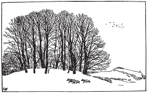 Викинги. Потомки Одина и Тора - i_019.png