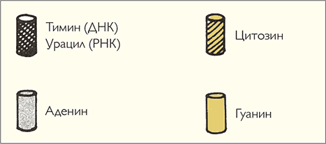 После человека. Зоология будущего - i_010.png