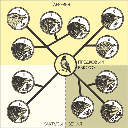 После человека. Зоология будущего - i_012.png
