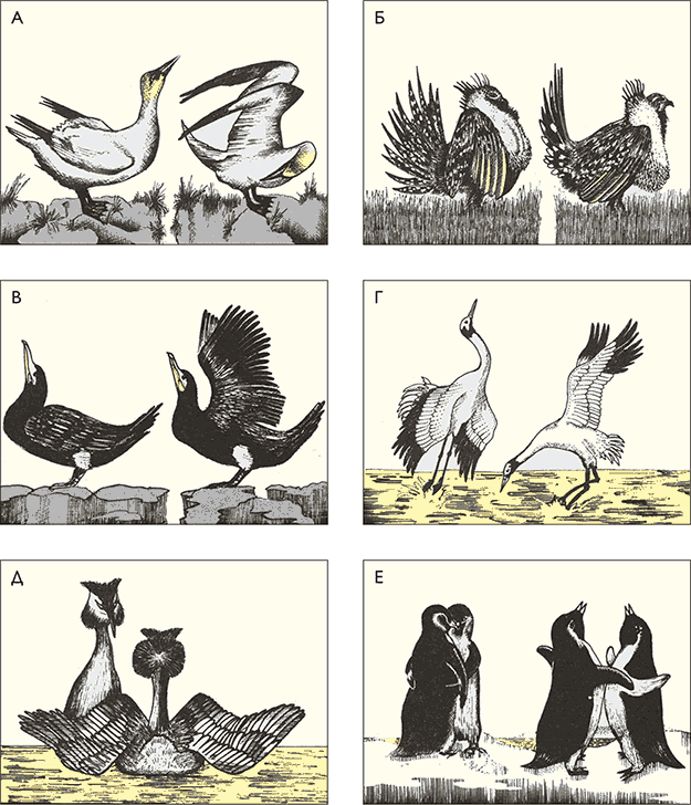 После человека. Зоология будущего - i_014.png