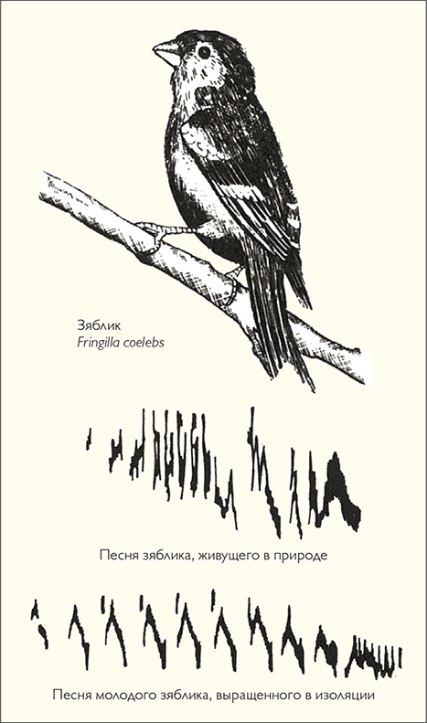 После человека. Зоология будущего - i_015.png