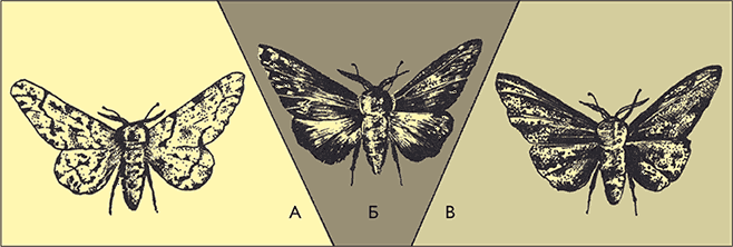 После человека. Зоология будущего - i_018.png
